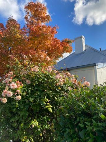 Orford'S Sanda House B&B Exterior foto